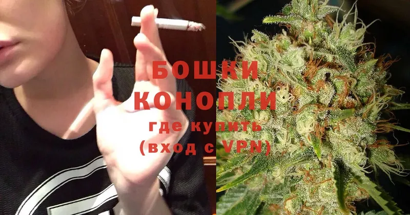 Бошки Шишки SATIVA & INDICA  где найти наркотики  Новосибирск 